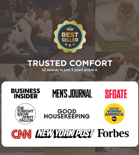 Orthopedic Dog Bed for Medium Dogs - Waterproof Dog Sofa Bed Medium, Supportive Foam Pet Couch Bed with Removable Washable Cover, Waterproof Lining and Nonskid Bottom, Grey