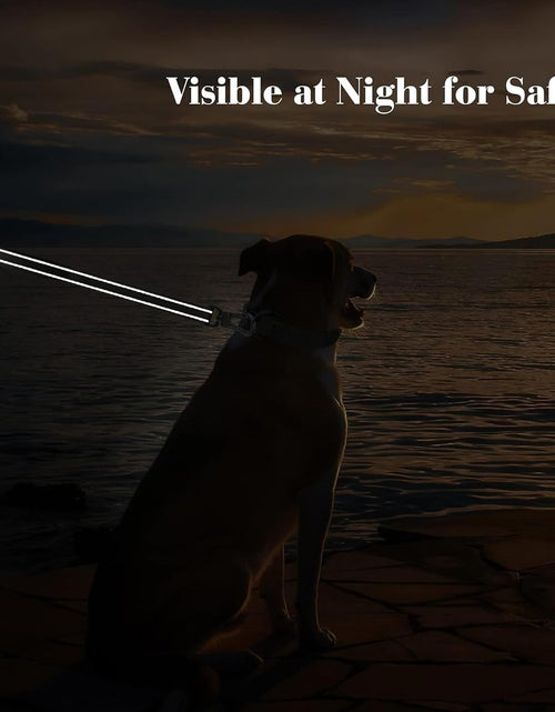 Load image into Gallery viewer, 4FT Heavy Duty Dog Leash with Soft Padded Double Handle, Durable Strong Clasp Dog Leashes, Reflective Nylon Walking Lead for Large,Medium,Small Breed Dogs, Grey
