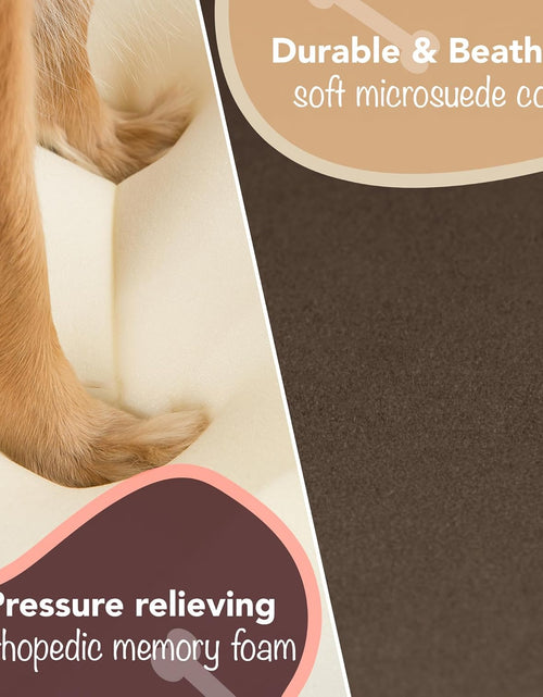 Load image into Gallery viewer, Small Dog Bed, Orthopedic Dog Sofa Memory Foam Mattress, Calming Dog Couch Bed, Wall Rim Pillow, Water Resistant Liner, Washable Cover, Non-Slip Bottom, Chester, Small Cocoa Brown
