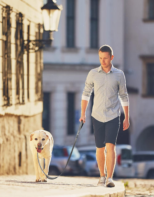 Load image into Gallery viewer, 4FT Heavy Duty Dog Leash with Soft Padded Double Handle, Durable Strong Clasp Dog Leashes, Reflective Nylon Walking Lead for Large,Medium,Small Breed Dogs, Grey
